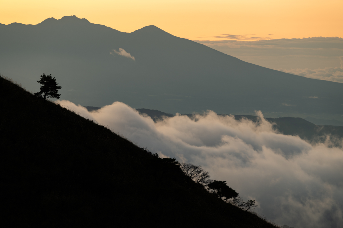 f:id:tatsumo77:20210928082215j:plain