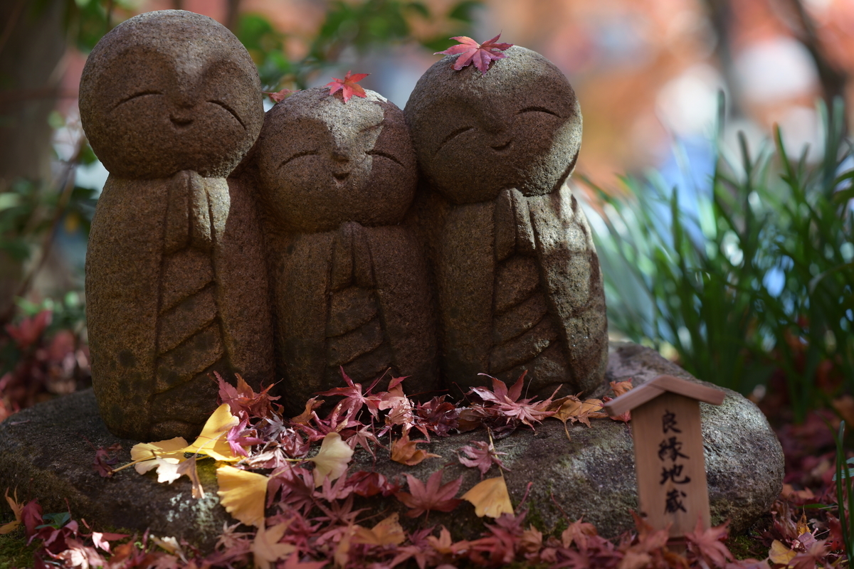 f:id:tatsumo77:20211004211750j:plain