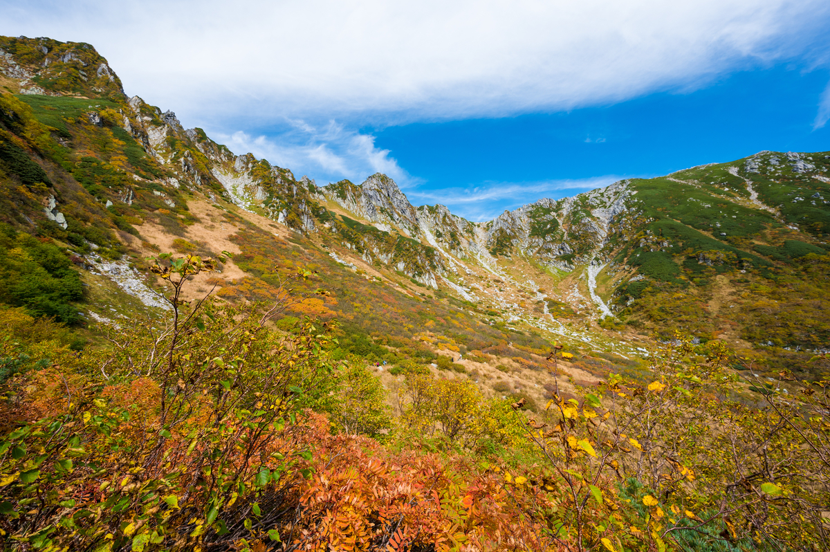 f:id:tatsumo77:20211014090654j:plain