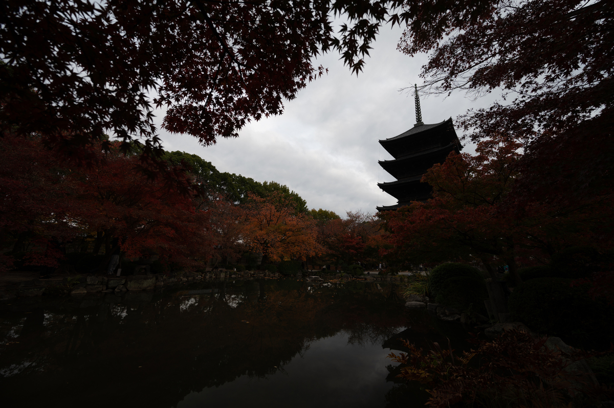 f:id:tatsumo77:20211129213754j:plain