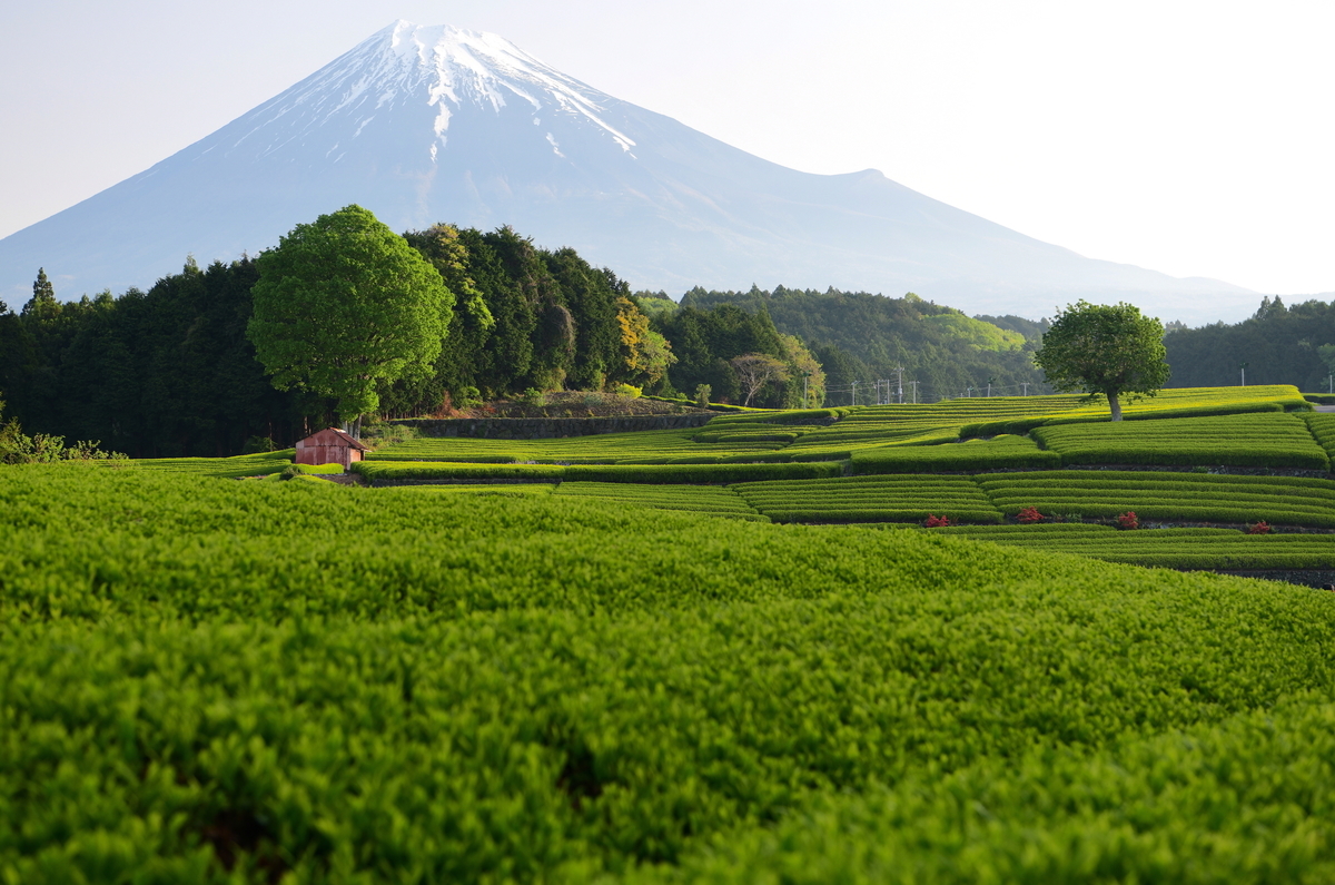 f:id:tatsumo77:20211209212929j:plain