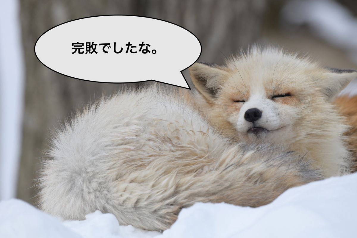 宮城蔵王でスノーモンスターを見ようとしたが完敗。どうしたらリベンジ