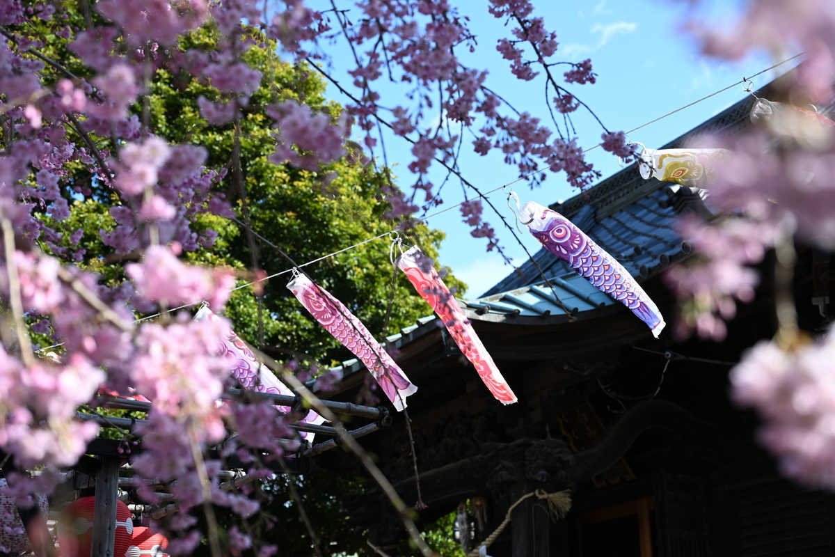 f:id:tatsumo77:20220410125355j:plain