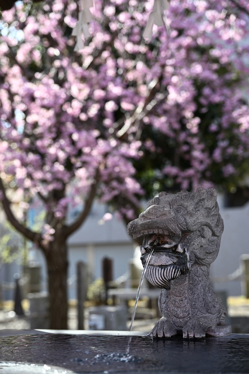 f:id:tatsumo77:20220410125730j:plain