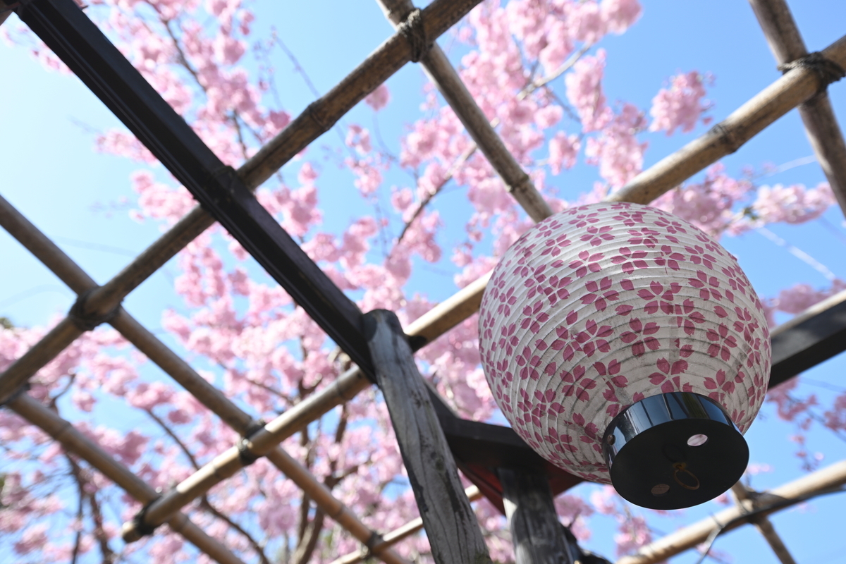 f:id:tatsumo77:20220410130434j:plain