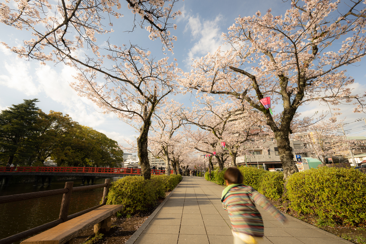 f:id:tatsumo77:20220410134149j:plain