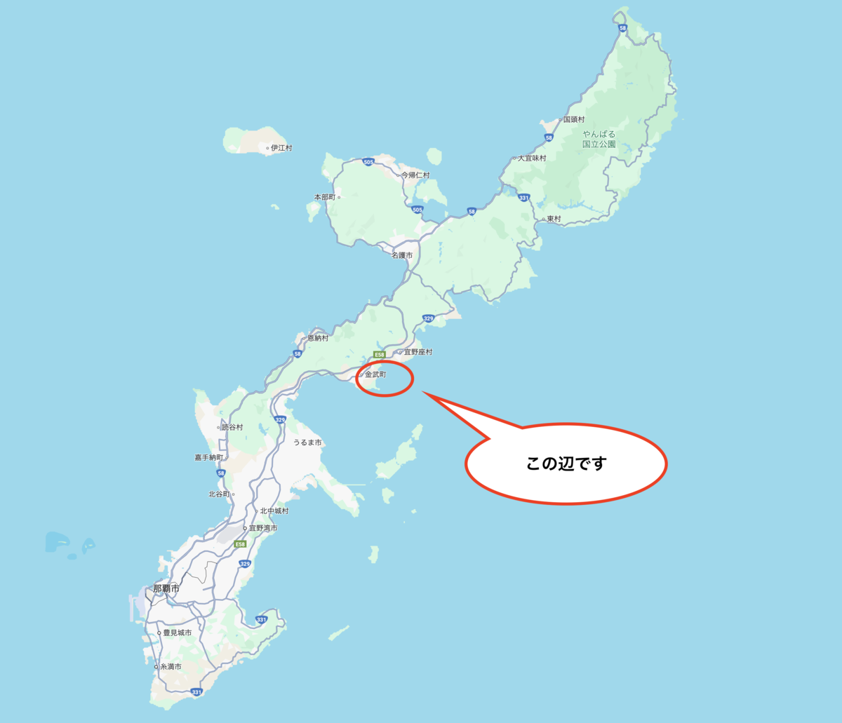 2025年 夏 沖縄旅行⑤ ～万座毛など～ - Circulation - Camera