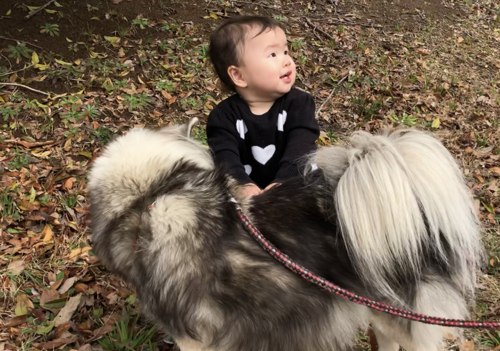 感情の現実創造 をやめれば自由になる 心の声に従うブログ