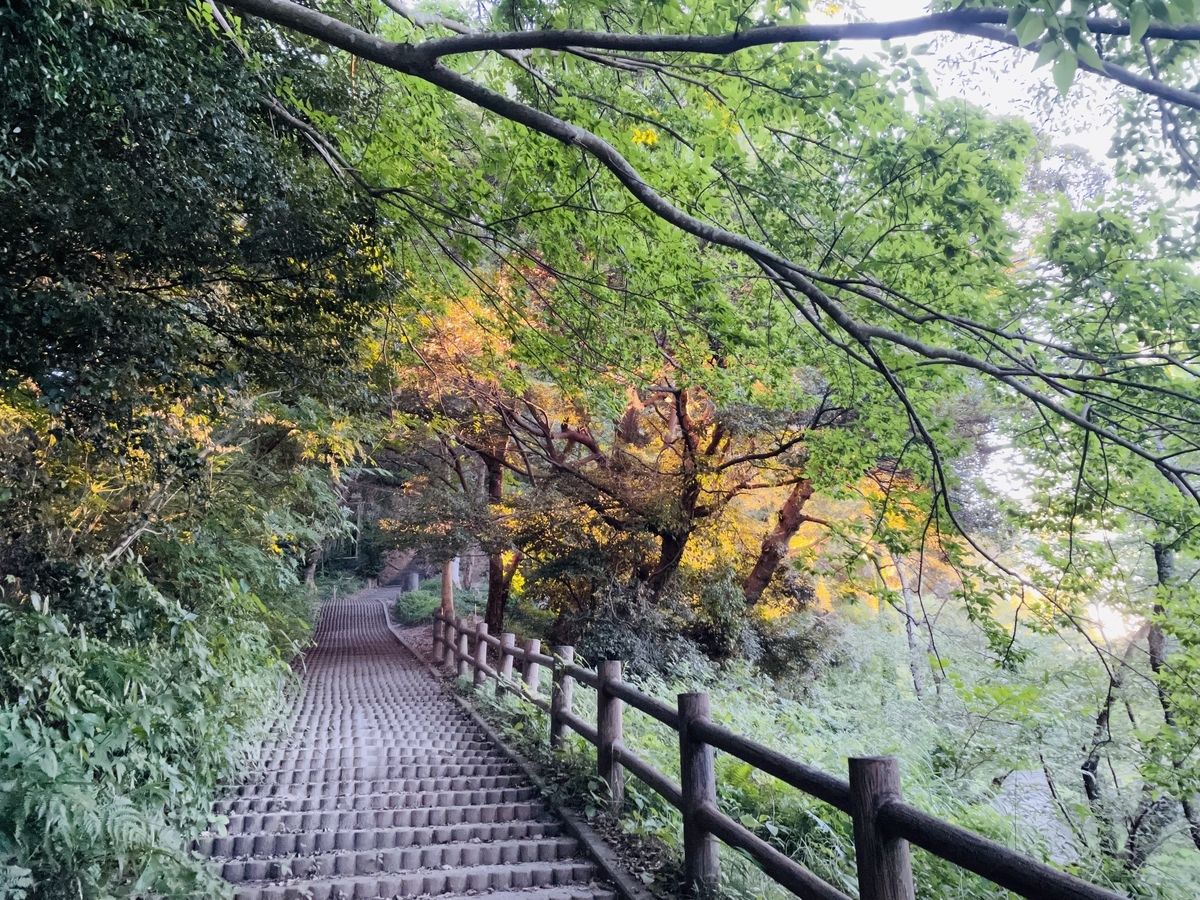 f:id:tatsunori-matsuda:20210806201107j:plain