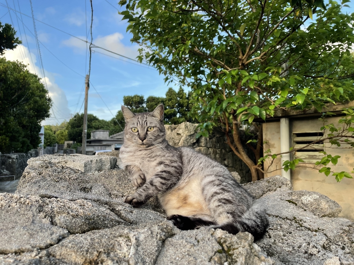 f:id:tatsunori-matsuda:20210828141734j:plain