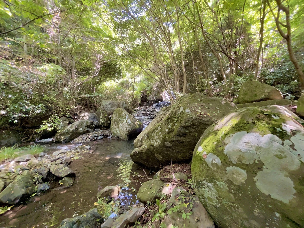 f:id:tatsuou:20210720155233j:plain