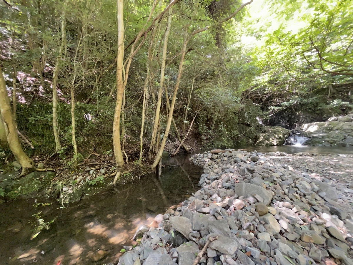 f:id:tatsuou:20210720155344j:plain