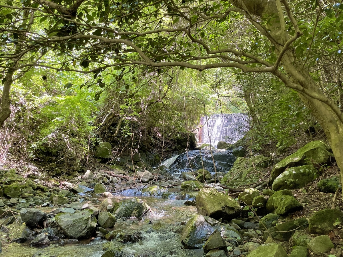 f:id:tatsuou:20210720155746j:plain