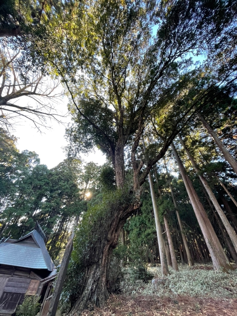 f:id:tatsuou:20220119174202j:plain