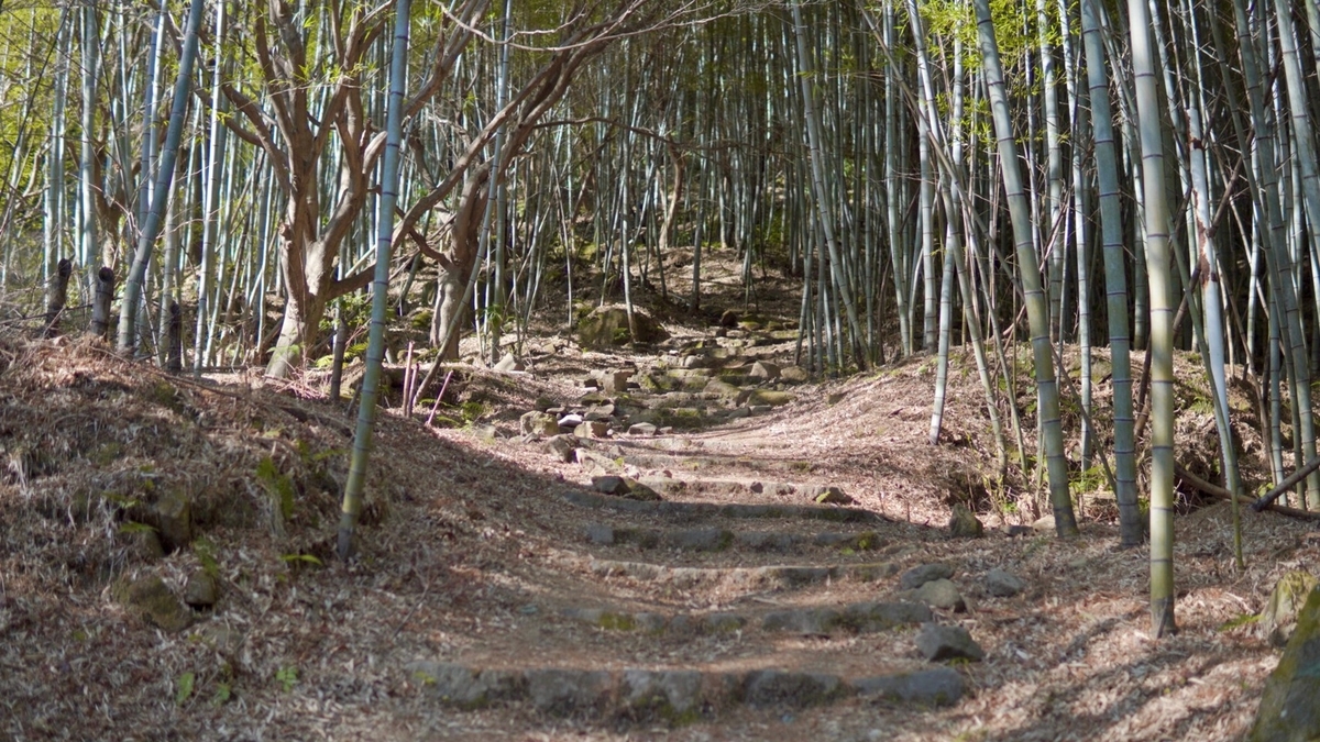 f:id:tatsuou:20220226185239j:plain