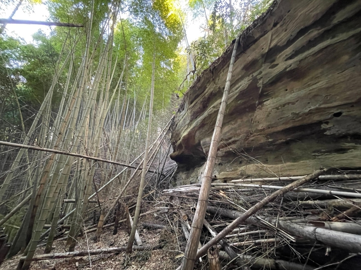 f:id:tatsuou:20220226190739j:plain