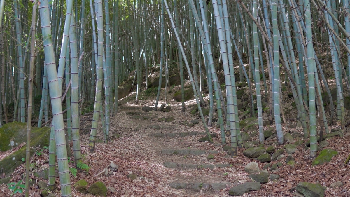 f:id:tatsuou:20220226190805j:plain