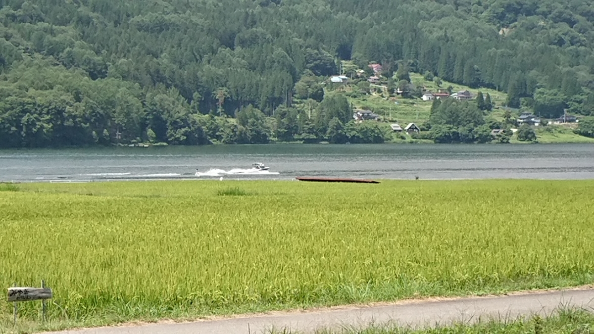 f:id:tatsurukun:20190824154441j:plain