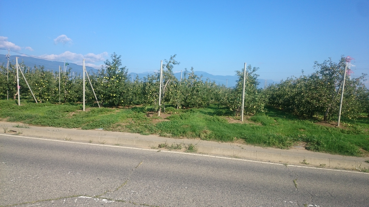 f:id:tatsurukun:20190825085700j:plain