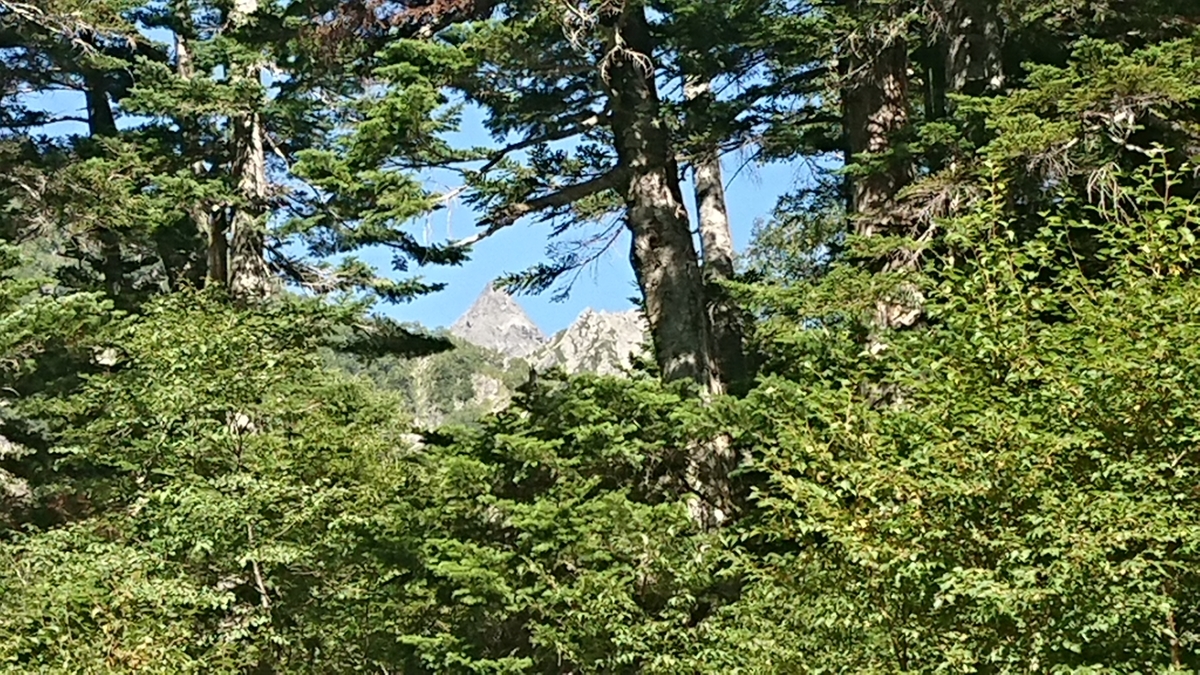 f:id:tatsurukun:20190908172202j:plain f:id:tatsurukun:20190908172202j:plain