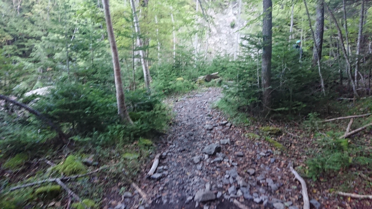 f:id:tatsurukun:20190916181108j:plain