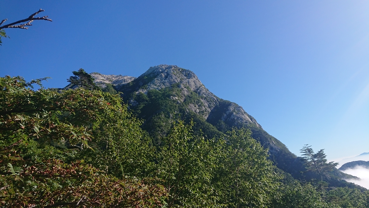 f:id:tatsurukun:20190916181330j:plain