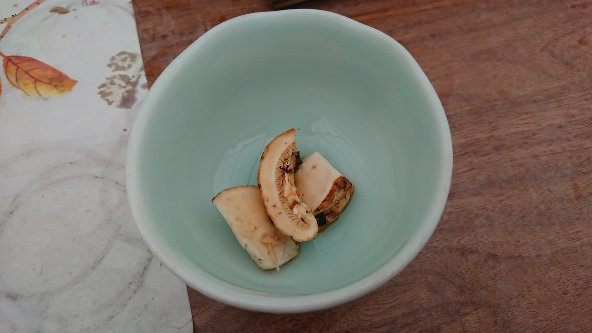 f:id:tatsurukun:20190916192511j:plain