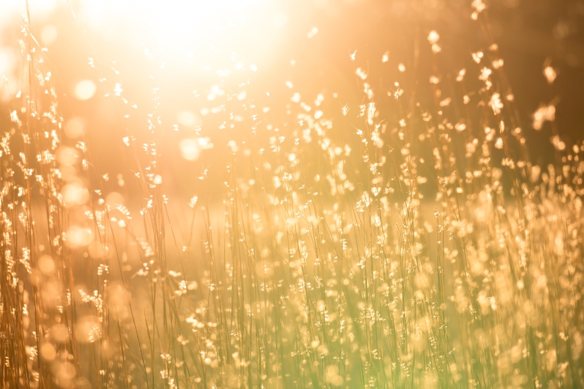 f:id:tatsushi_miyake:20210907101751j:plain