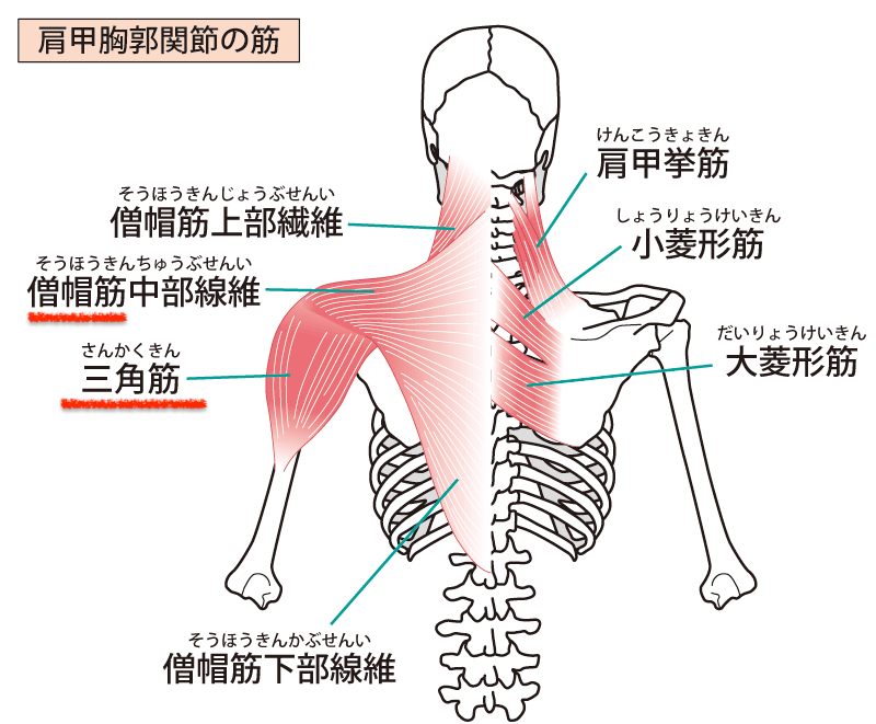 f:id:tatsushi_miyake:20210922124643p:plain