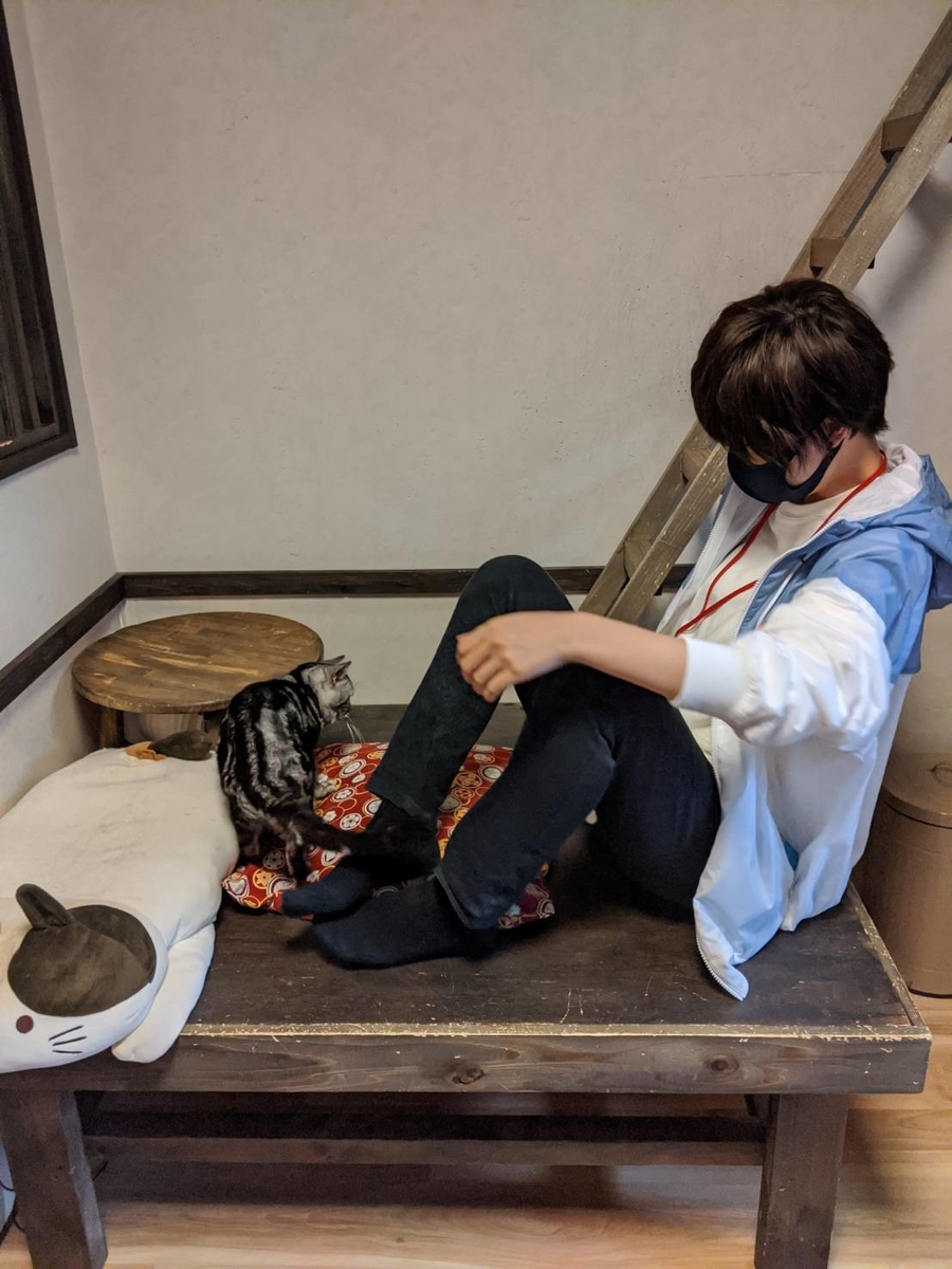 f:id:tatsusogane:20201025173322j:plain f:id:tatsusogane:20201025173322j:plain