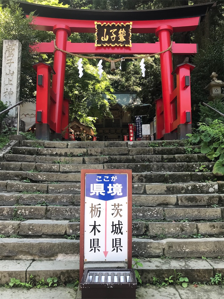 f:id:tatsuya-kabuyu:20220805223228j:image f:id:tatsuya-kabuyu:20220805223228j:image