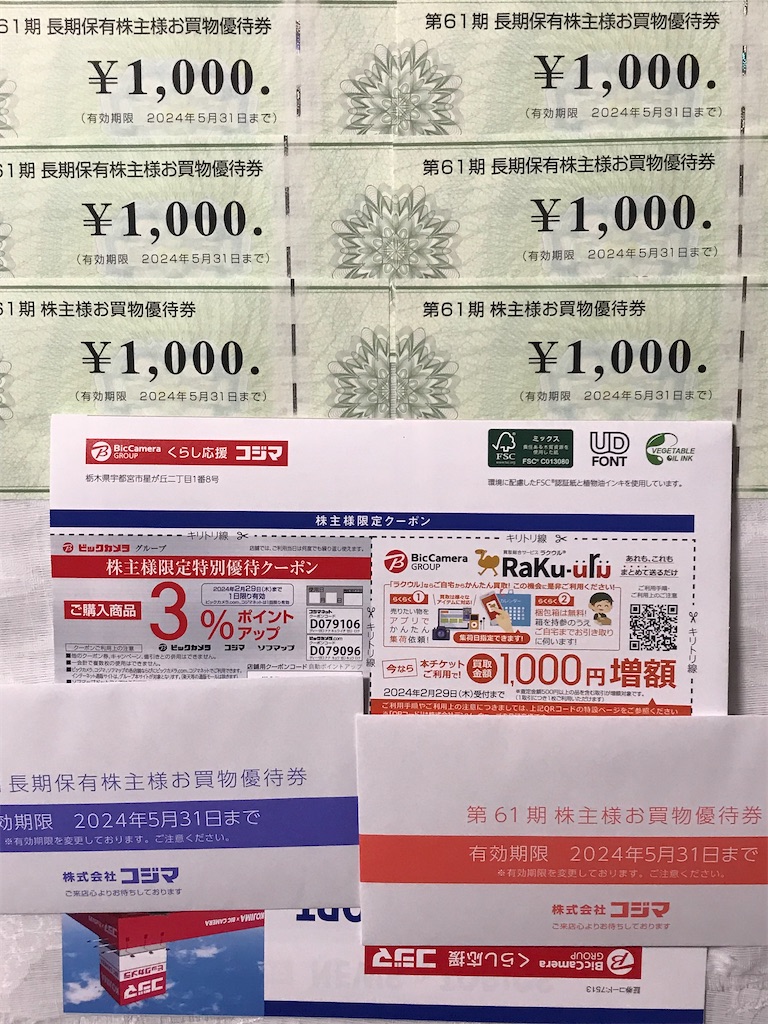 ビックカメラ コジマ 株主優待 お買い物優待券 分