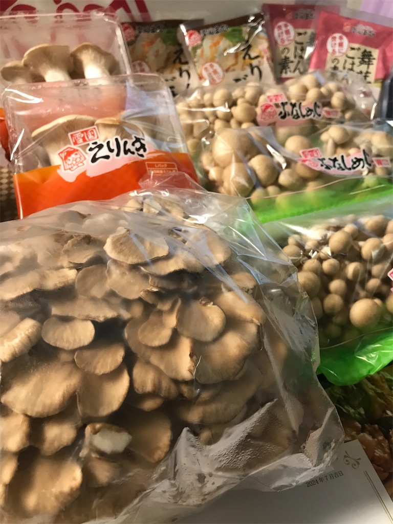 f:id:tatsuya-kabuyu:20240710212117j:image