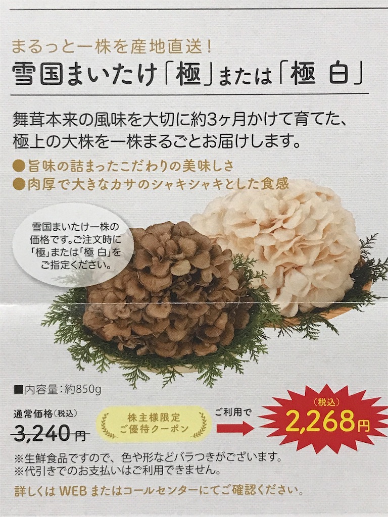 f:id:tatsuya-kabuyu:20240710212125j:image