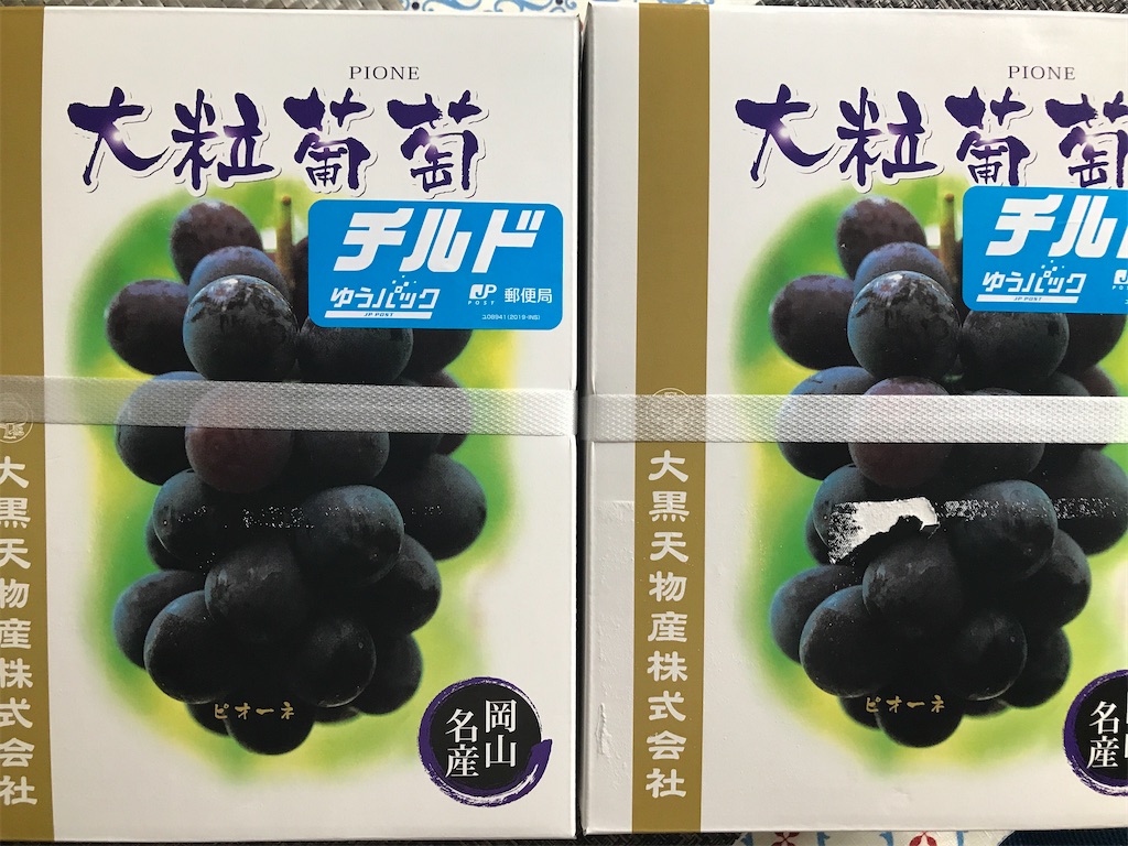 f:id:tatsuya-kabuyu:20240928204156j:image