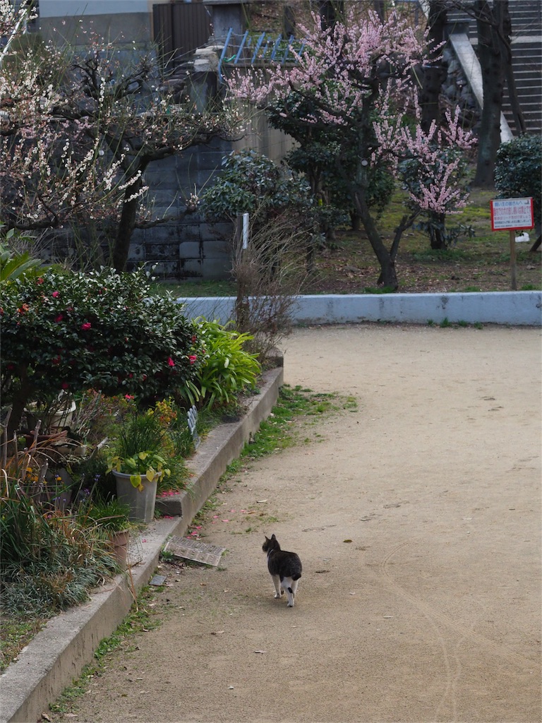 f:id:tatsuya1977:20170307100118j:image f:id:tatsuya1977:20170307100118j:image