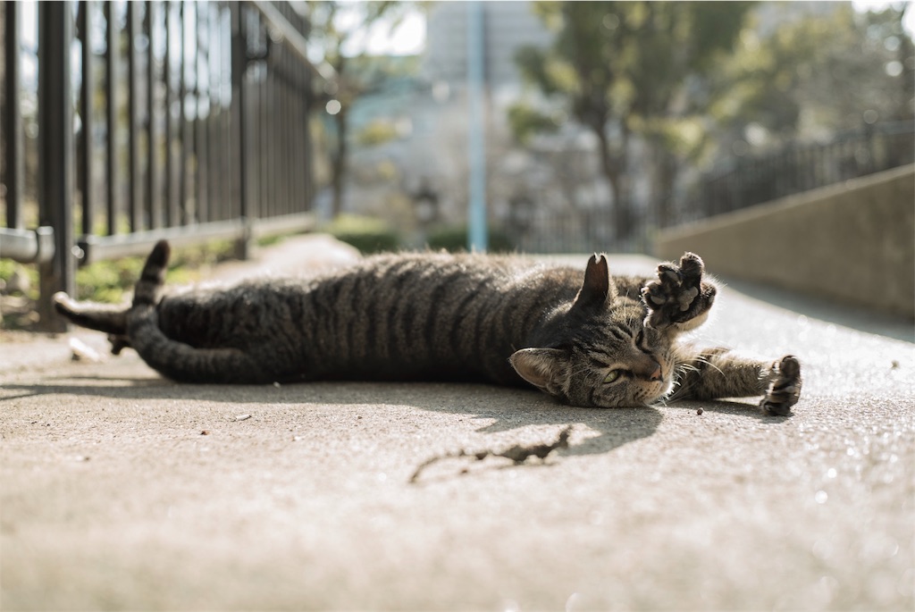 f:id:tatsuya1977:20180302174846j:image