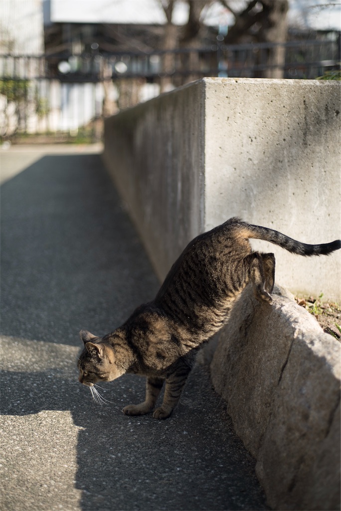 f:id:tatsuya1977:20180302174922j:image
