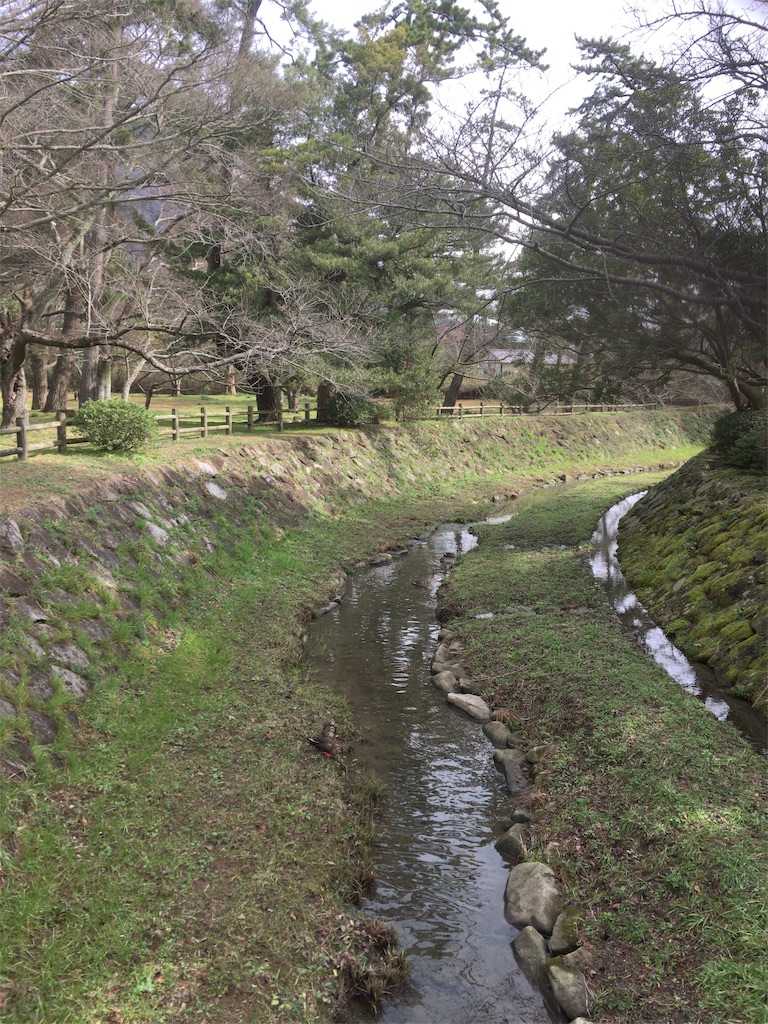 f:id:tatsuya1985:20190212153051j:image