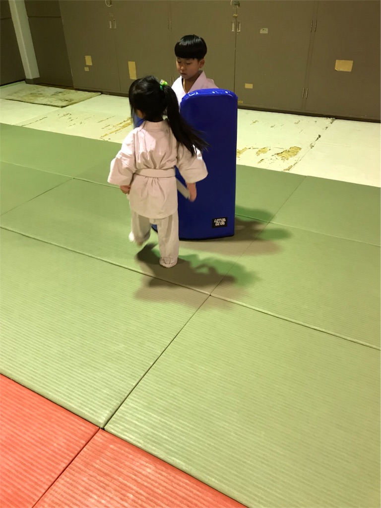 f:id:tatsuya_karate_mawasigeri_060110:20180322104437j:image f:id:tatsuya_karate_mawasigeri_060110:20180322104437j:image