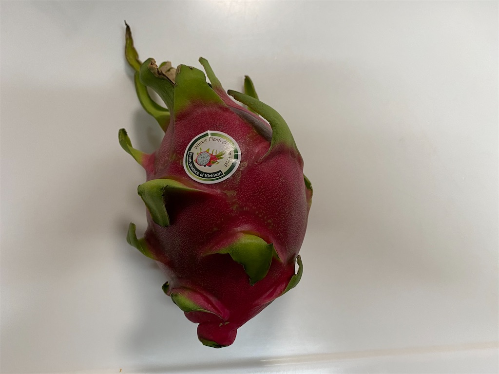 着工81日目上棟56日目とあえ麺と悪魔の実 Stand Up Diary