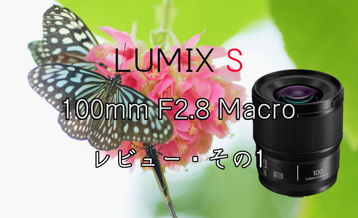 Amazon.com : Panasonic LUMIX Full Frame Camera Lens, S 100mm