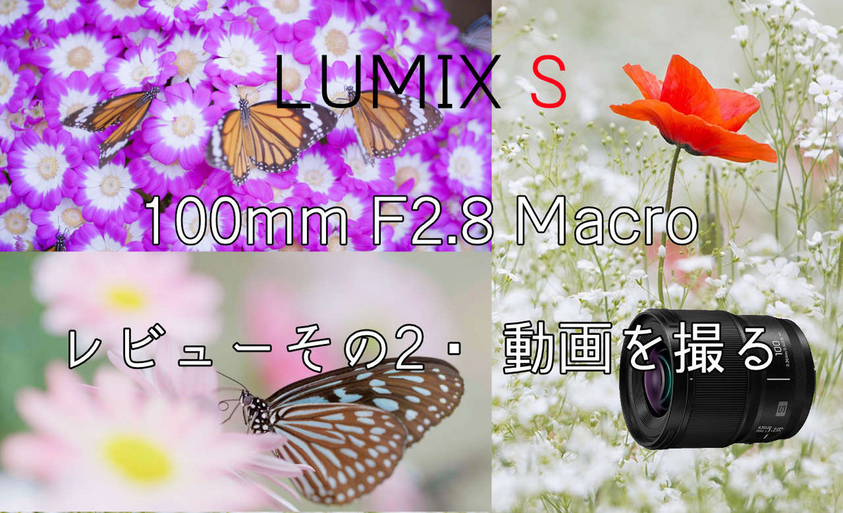 LUMIX S100mm F2.8 MACRO レビューその2・動画を撮る - ぷいろぐ