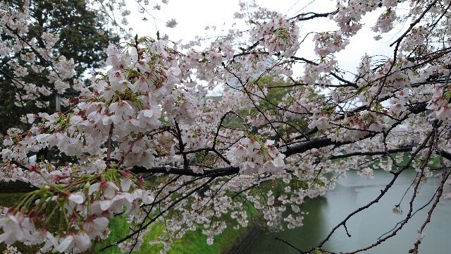 f:id:tatuou4:20230402233158j:image f:id:tatuou4:20230402233158j:image