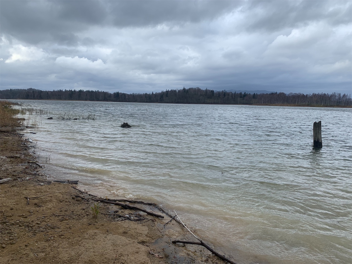 f:id:tatzro:20191103135903j:image f:id:tatzro:20191103135903j:image