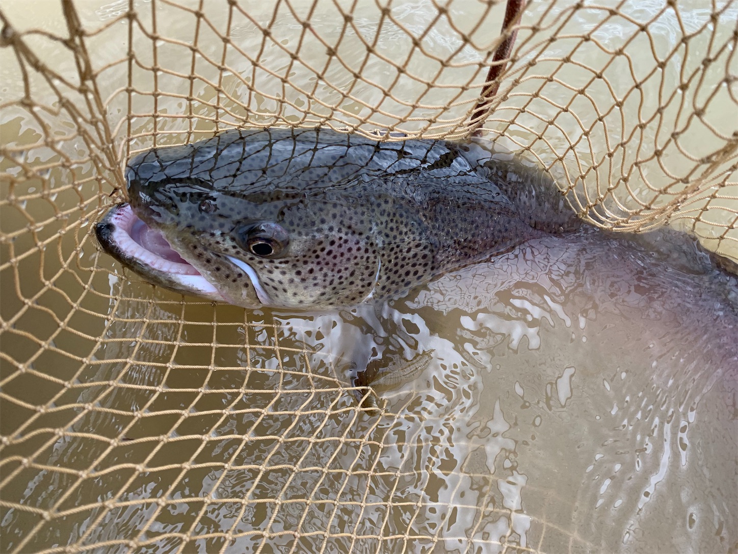 f:id:tatzro:20191103140955j:image f:id:tatzro:20191103140955j:image