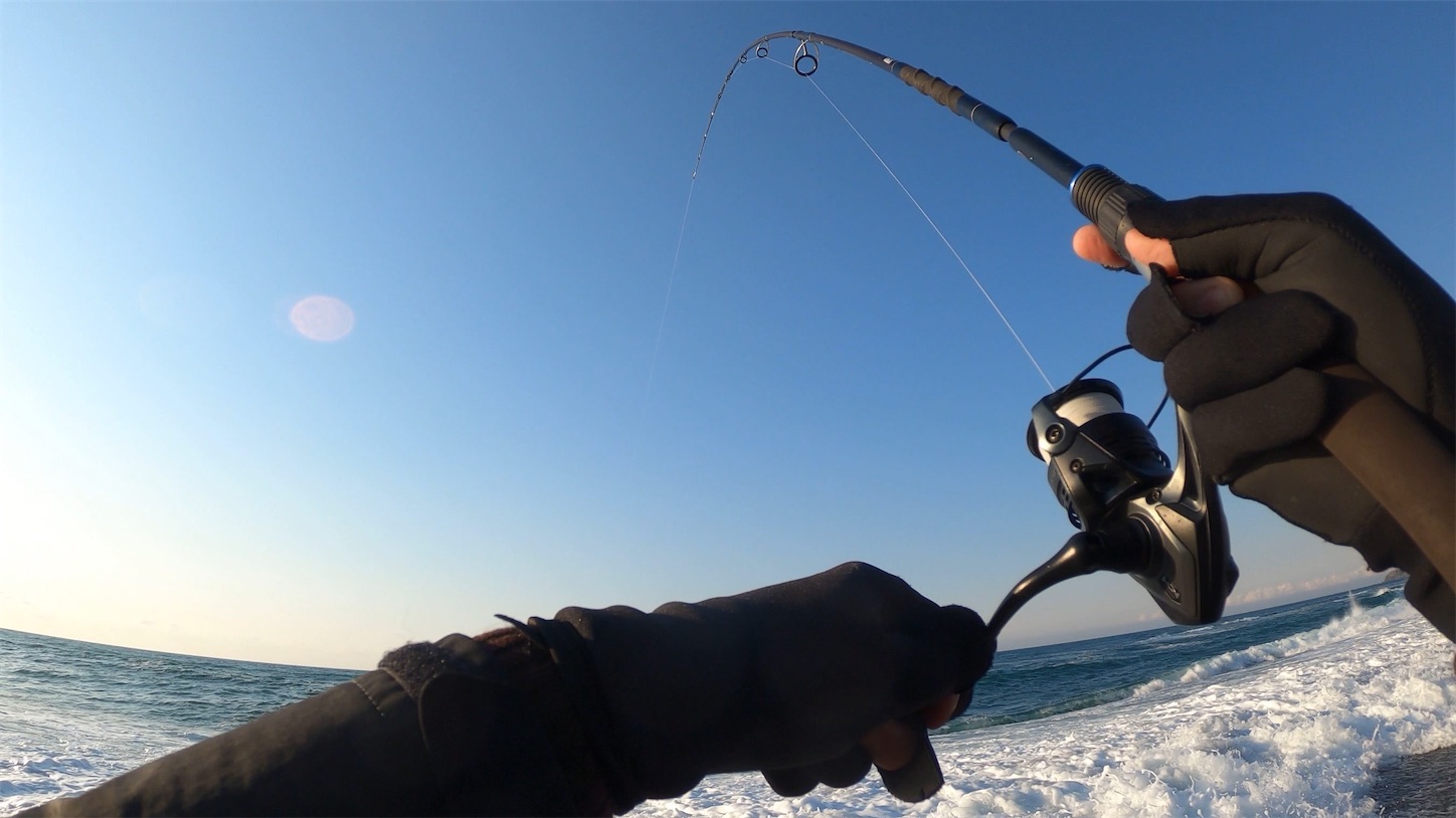 f:id:tatzro:20200408120439j:image f:id:tatzro:20200408120439j:image