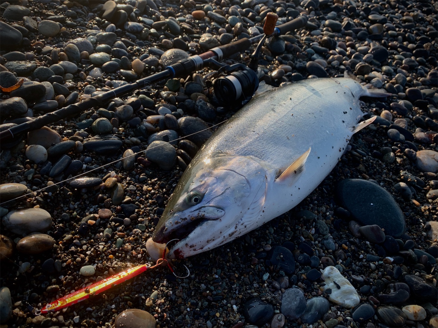 f:id:tatzro:20200408120822j:image f:id:tatzro:20200408120822j:image