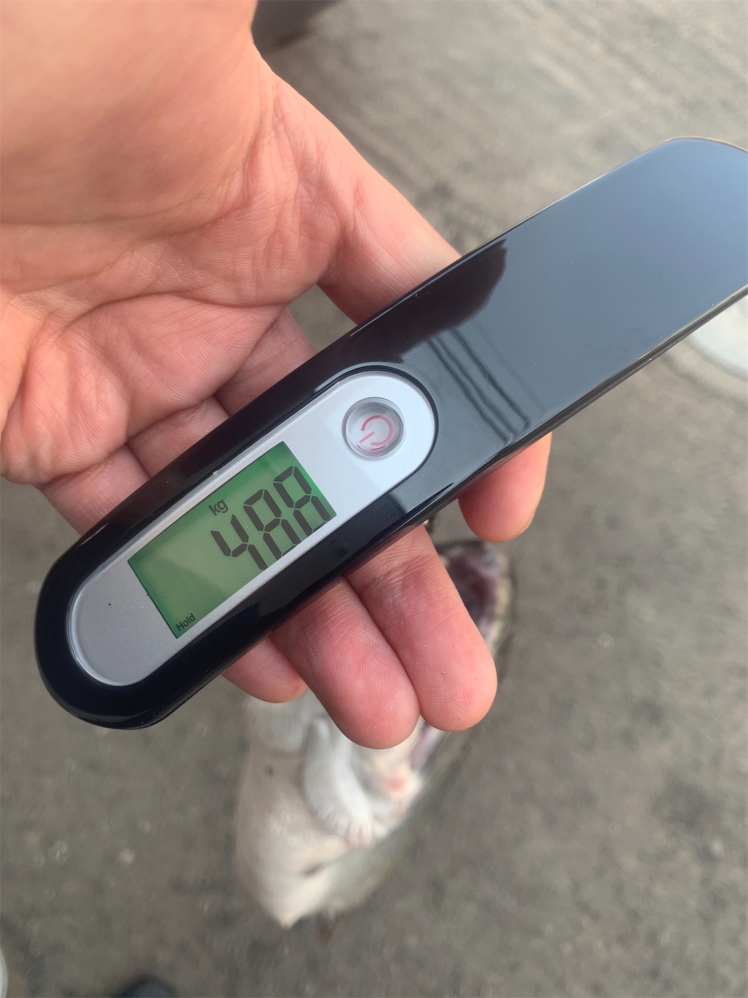 f:id:tatzro:20200419131528j:image