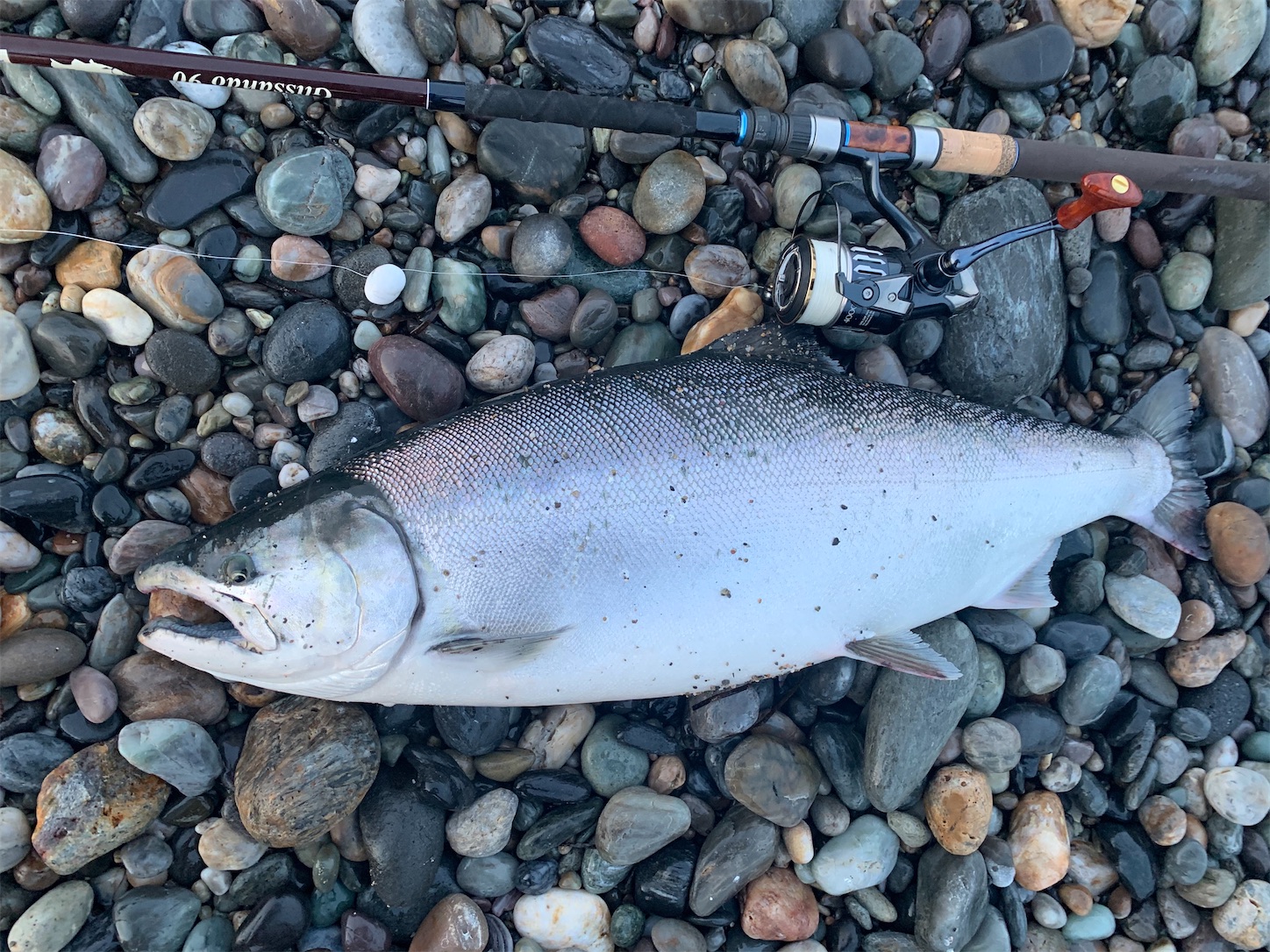 f:id:tatzro:20200705025847j:image